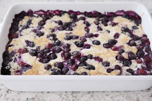 A blueberry cake in a white pan. 