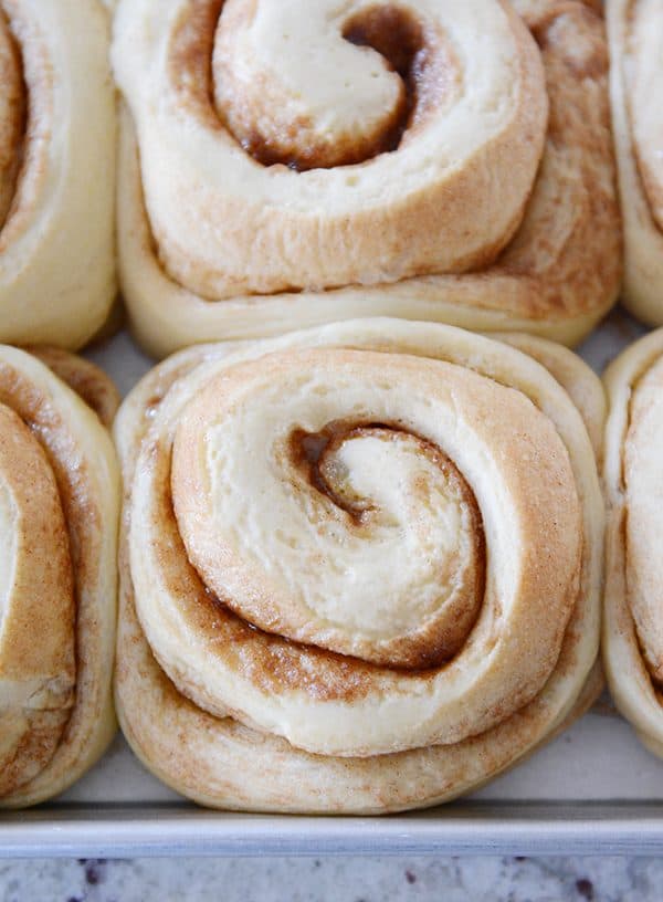 Top view of a pan of unfrosted cooked cinnamon rolls.