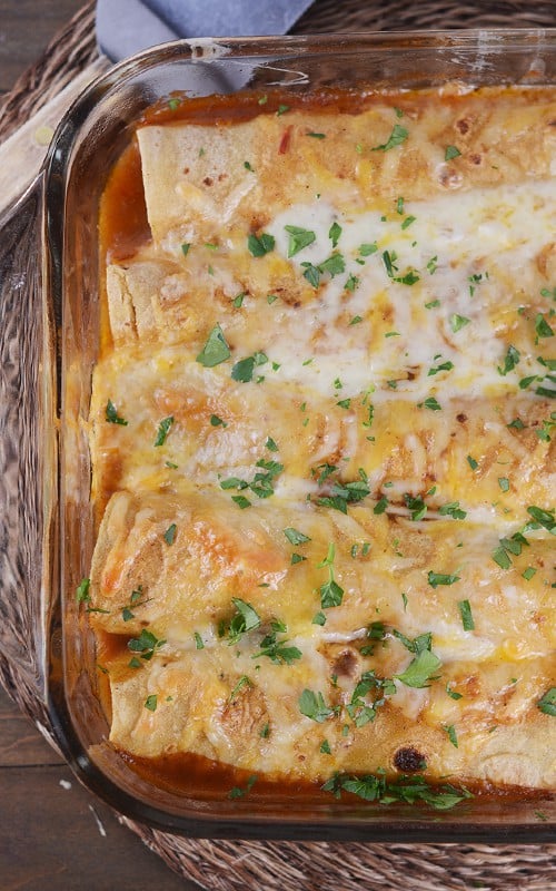 A pan full of corn-tortilla enchiladas sprinkled with melted cheese and chopped cilantro.