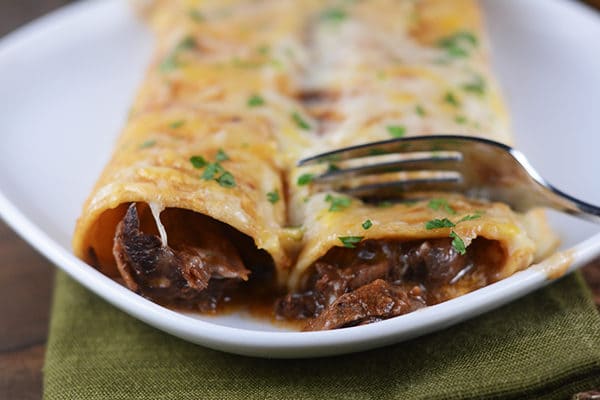 Two yellow corn tortilla enchiladas with melted cheese and chopped cilantro sprinkled over the top, and beef peeking out the ends. 