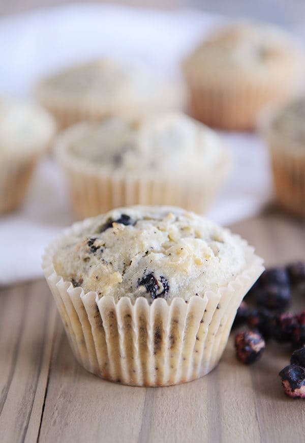 Blueberry muffins in white liners with a pile of blueberries next to the front muffin.