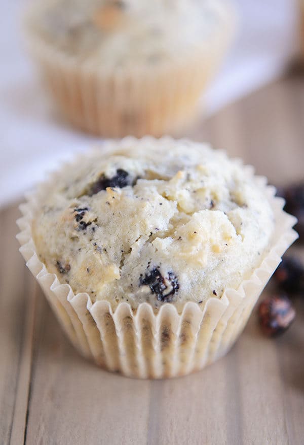 A blueberry cream cheese muffin in a white muffin liner. 