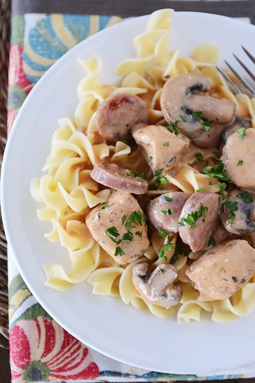 Top view of a white plate with cooked egg noodles topped with cajun chicken stroganoff.