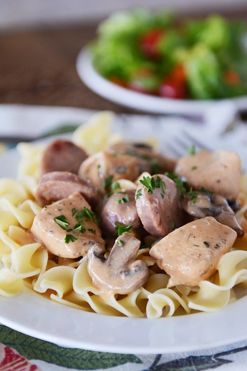 A white plate with cooked noodles topped with a cajun chicken stroganoff. 