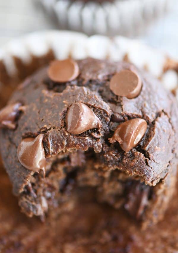 Close up view of bite taken out of double chocolate banana blender muffin with chocolate chips on top. 