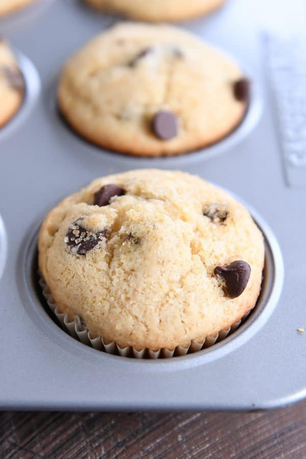 Chocolate chip muffin sitting in muffin tin.