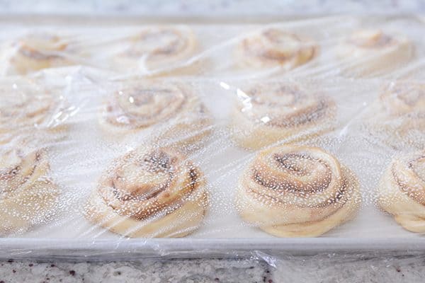 Saran wrap covered pan of uncooked cinnamon rolls. 