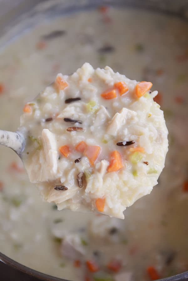 A ladle full of chicken and wild rice soup over the pot of the rest of the soup. 