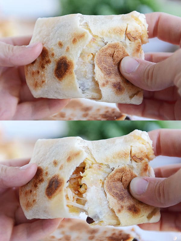A griddled tortilla wrap being pulled apart to show the ingredients inside. 