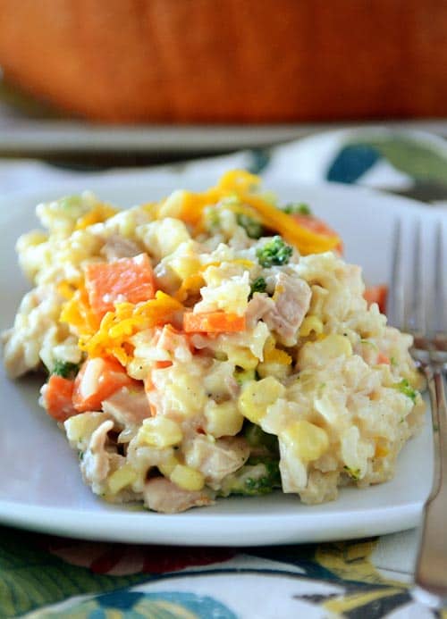 Pumpkin and vegetable-filled serving of cooked casserole on a white dish. 