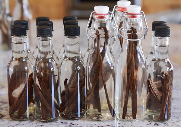 A bunch of small glass bottles filled with vanilla beans and vodka