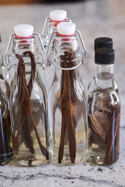 Glass jars filled with alcohol and vanilla beans. 