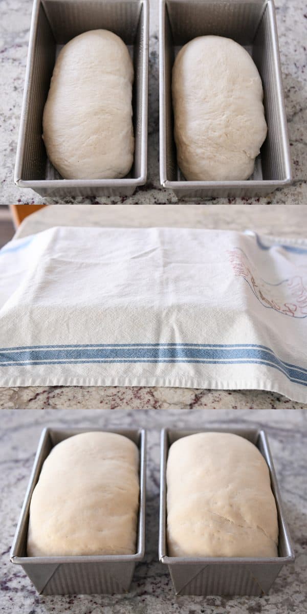 Two loves of bread covered with a towel rising in bread metal bread tins.