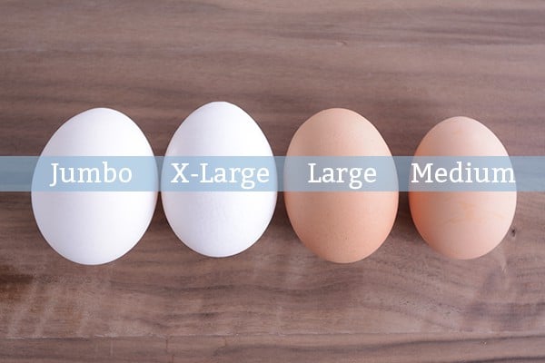 A jumbo, extra large, large, and medium egg laying next to each other.