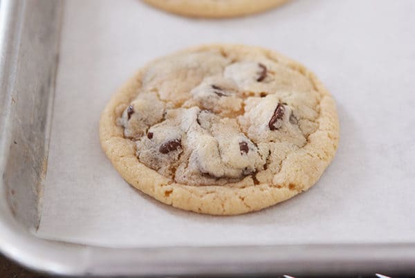 A baked chocolate chip cookie on a cookie sheet.