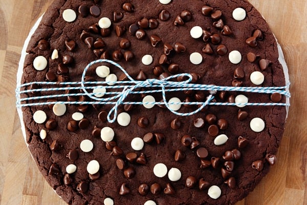 A giant chocolate cookie with a blue and white ribbon tied around it.