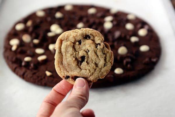 A small chocolate chip cookie being held up in front of a giant chocolate cookie.