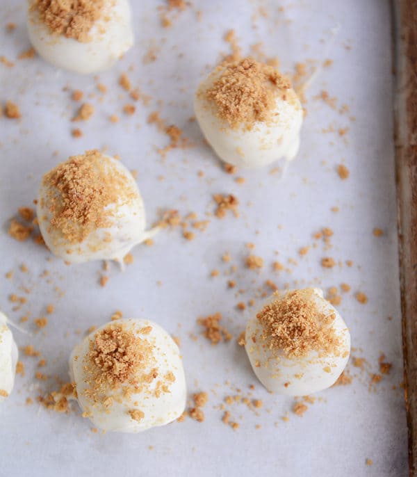 Top view of graham cracker dusted white chocolate truffles on a cookie sheet.