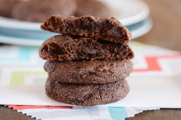 Double Chocolate Greek Yogurt Cookies