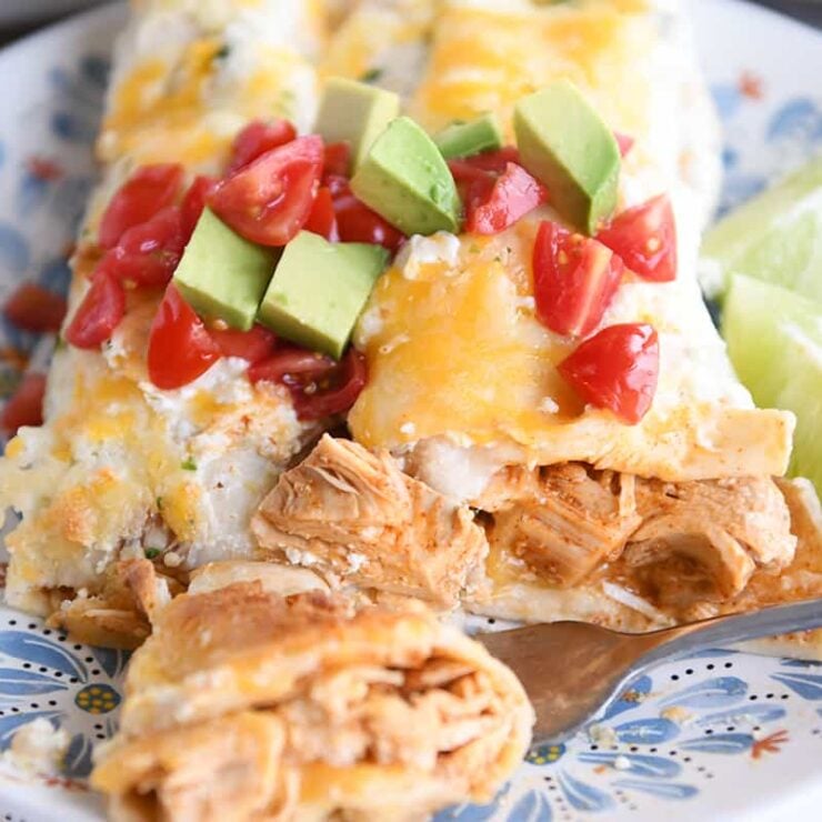 Honey Lime Chicken {or Pork} Enchiladas Mel's Kitchen Cafe