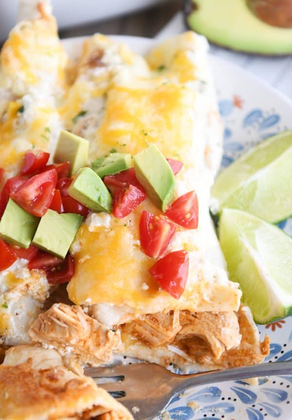 Close up view of bite taken out of one honey lime chicken enchilada on white and blue plate.