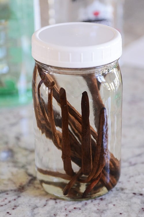 A mason jar full of alcohol and vanilla beans. 