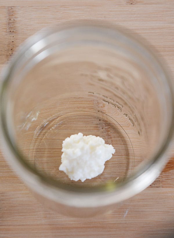 Top down view of a mason jar with kefir grains in the bottom.