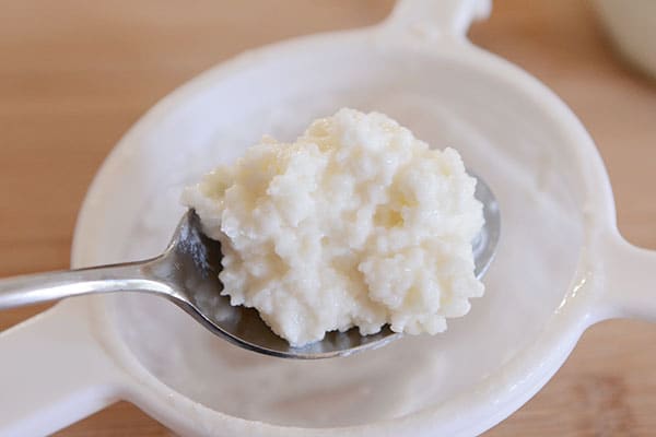 A spoonful of kefir grains over the top of a strainer.