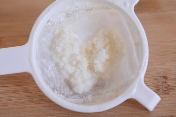 A plastic fine mesh strainer with kefir grains inside.