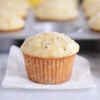 The Best Lemon Poppy Seed Muffins