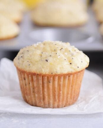 The Best Lemon Poppy Seed Muffins