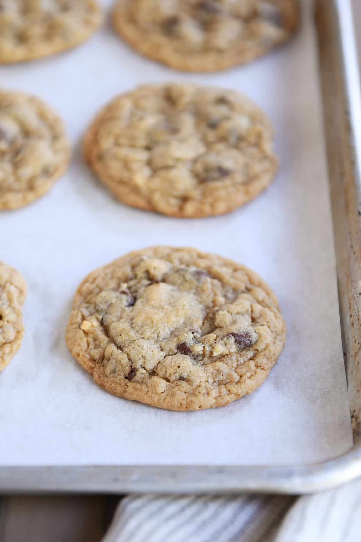 Soft and chewy oatmeal chocolate chip coconut cookies on sheet pan with parchment paper.