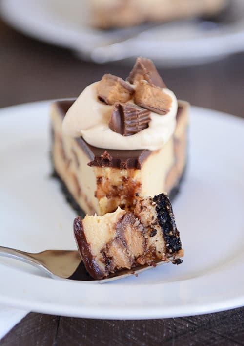 A slice of peanut butter cup cheesecake with a fork taking a bite out.
