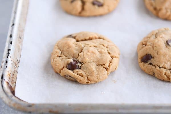 Peanut butter oatmeal chocolate chip cookies on sheet pan with parchment paper.