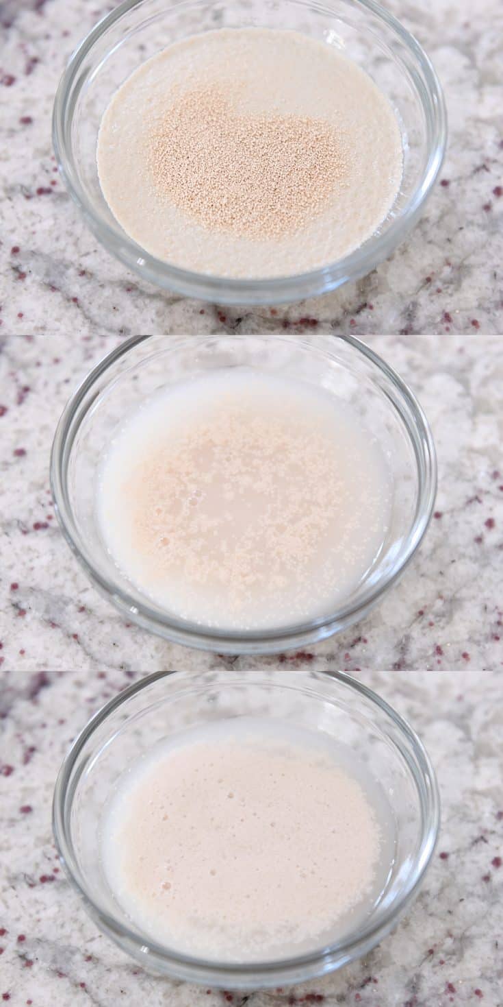 Guide to Baking with Yeast {New and Improved} Mel's Kitchen Cafe