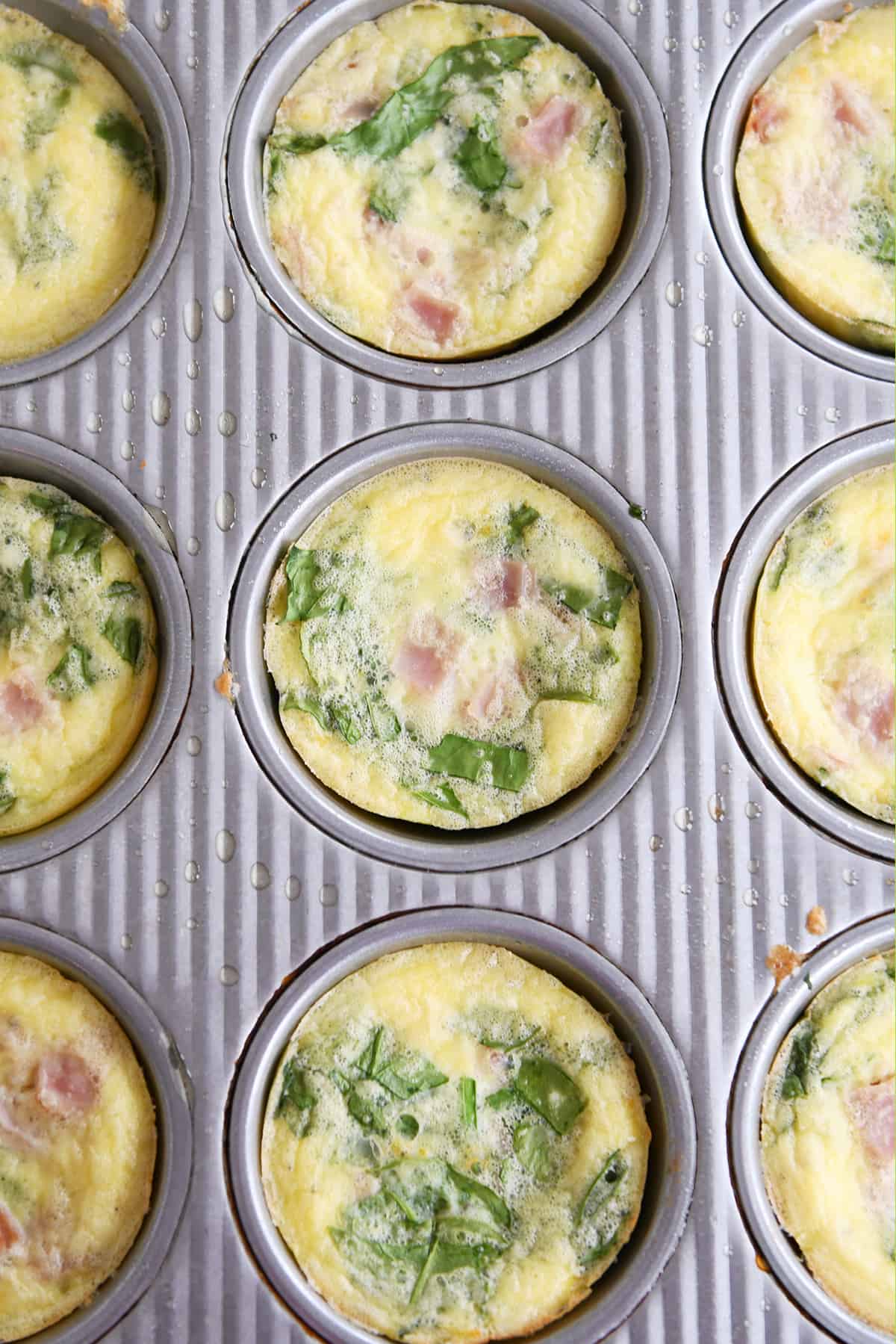 Healthy Egg and Veggie Muffins Mel's Kitchen Cafe