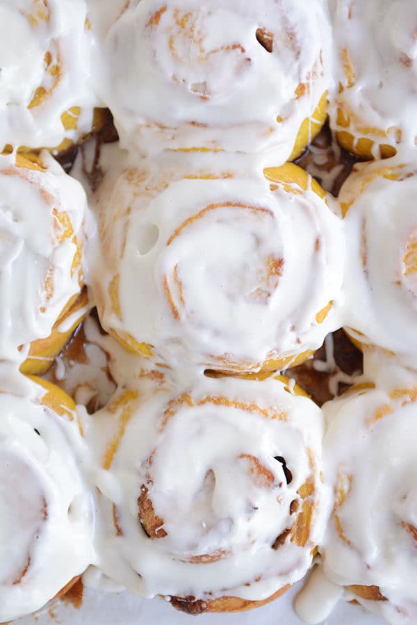 Top view of a pan of frosted pumpkin cinnamon rolls.