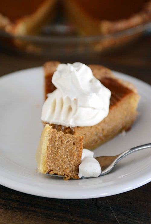 A fork taking a bite out of a slice of pumpkin pie with a dollop of whipped cream on it.