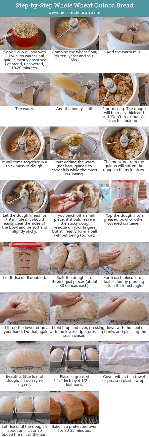 Step-by-step photos and instructions showing how to make homemade quinoa bread.