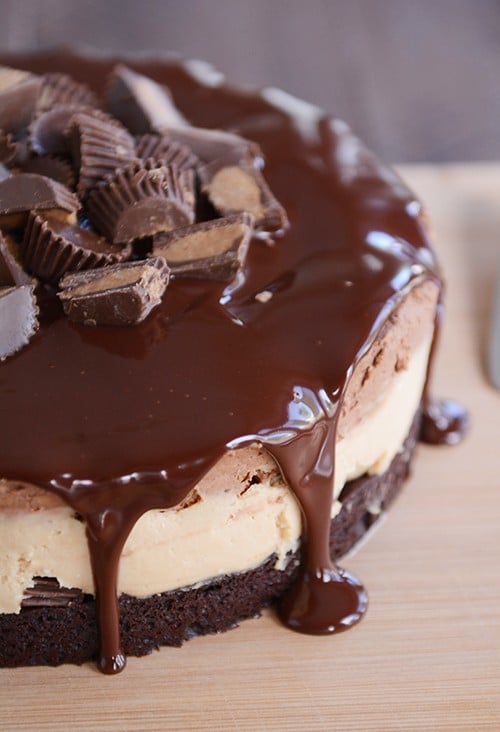 A peanut butter mousse cake with a brownie base covered with ganache and peanut butter cups. 