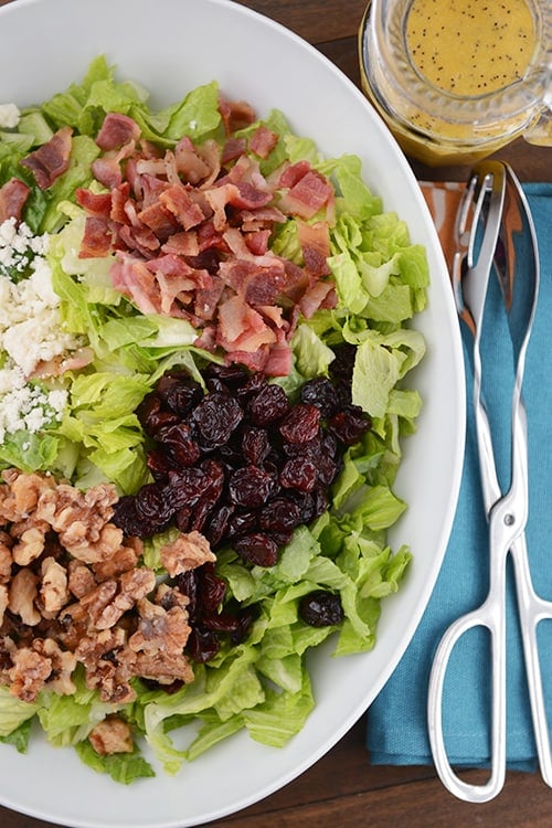 Top view of a big bowl of romaine salad topped with nuts, craisins bacon, and feta cheese.