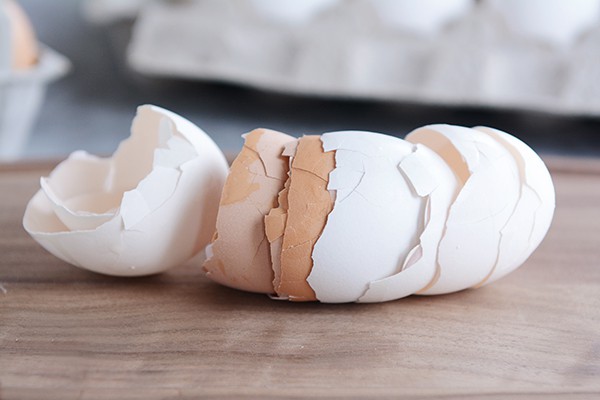 egg shells laying on a counter