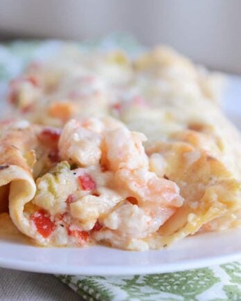 Closeup of two shrimp enchiladas on white plate.