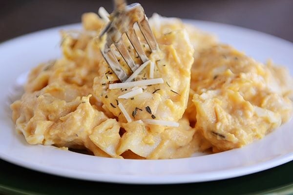 A fork taking a tortellini off of a white plate full of tortellini. 