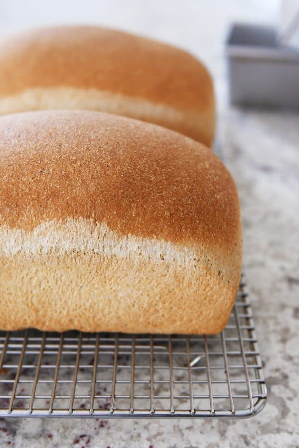 Two loaves of small batch whole wheat bread on cooling rack. 