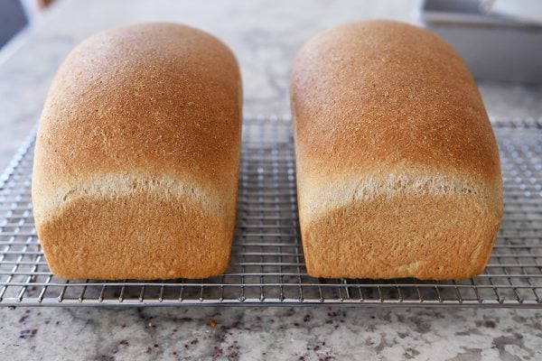 Two loaves of cooked whole wheat bread on a cooling rack.