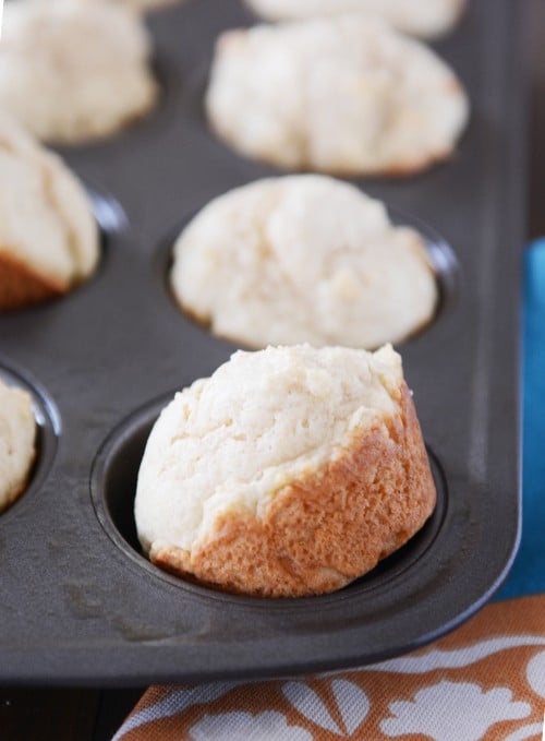 Sour cream muffins in a muffin tin with the front muffin tipped sideways out of the cup.