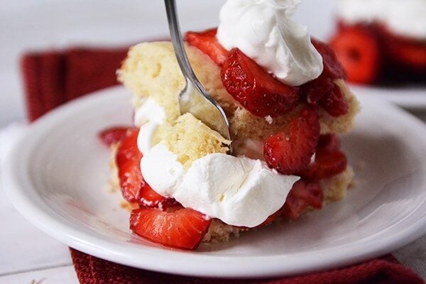 A white plate with a layered strawberry shortcake with a fork stuck in it.