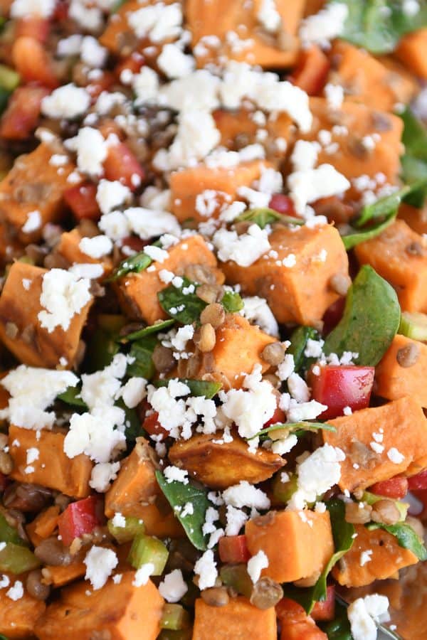 Top view of roasted sweet potato and lentil salad.