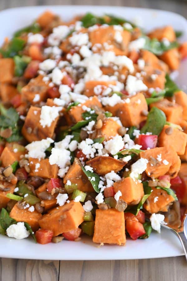 Roasted sweet potato and lentil salad on white platter. 